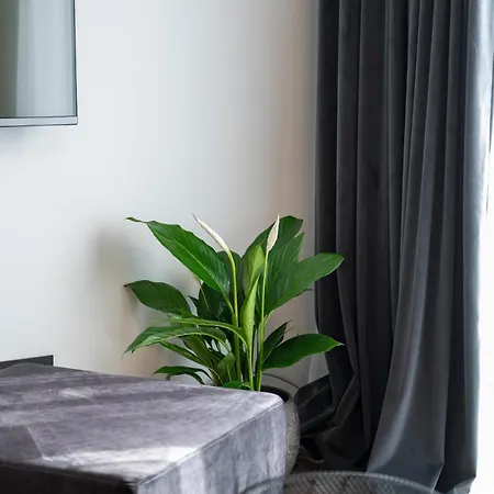 Felicita Deluxe With Free Parking 4* Saraievo